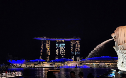 新加坡禁用电子烟：携带入境者将面临入境禁令、可能遭鞭刑及最高20年监禁