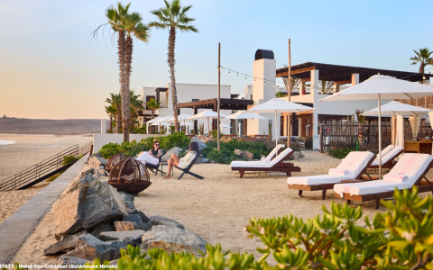 凯悦新酒店每晚500奖励积分，有效期至2025年12月31日