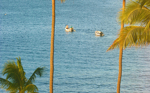 入住全包式度假酒店，每次住宿可赚取 25,000 点万豪旅享家积分