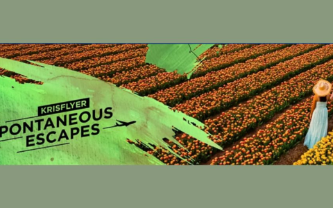 新加坡航空：往返美国的特惠远程航班高端经济舱