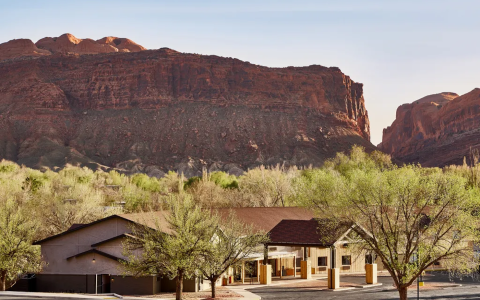 希尔顿最新推出的Outset系列不包含精英会员早餐福利