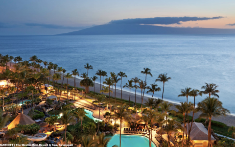 万豪国际 2026 年 1 月 2 日至 25 日入住优惠 20%（周日截止预订）